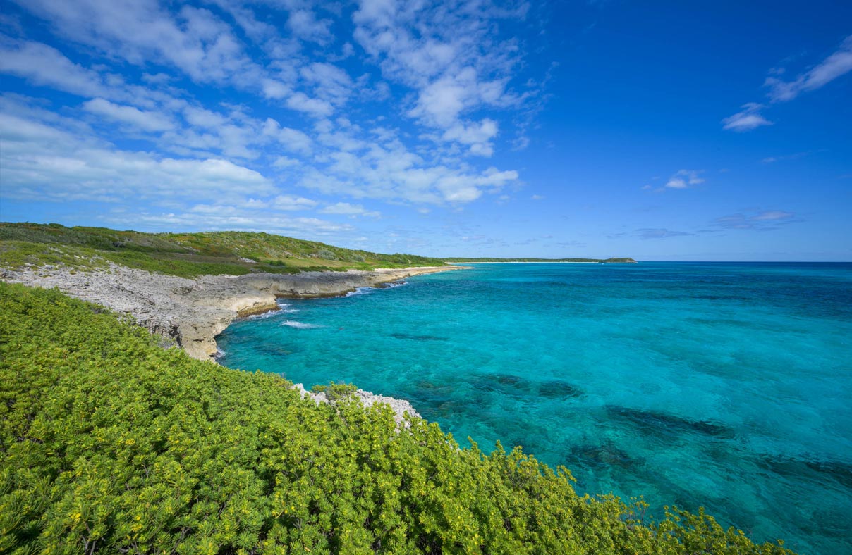 The Coastline of Jack's Bay