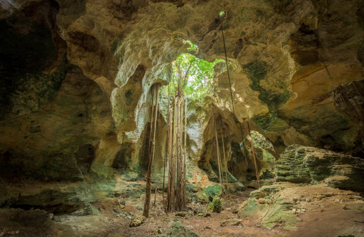 The natural caves of Jack’s Bay